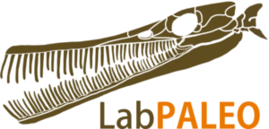 Laboratório de Paleontologia